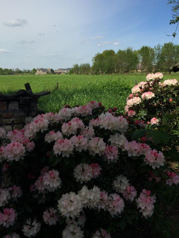 B&B De Lotus Hoevelaken Eksteriør billede